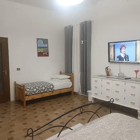 Simbilis Experience Mimose